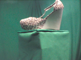 135 Degrees _ Picture 9 _ Leopard Print Wedge Heel.png
